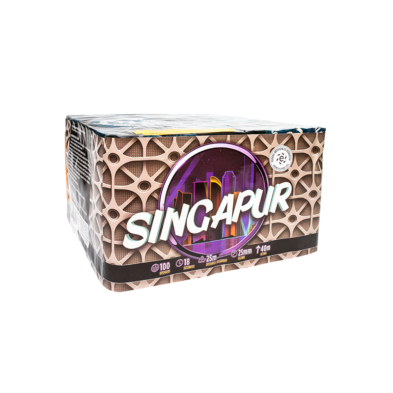 [5736J] BATERIA SINGAPUR