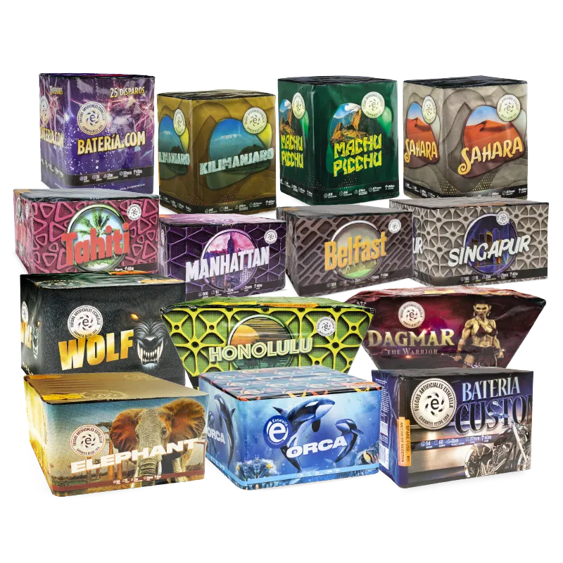 [10061] PACK 14 BATERIES